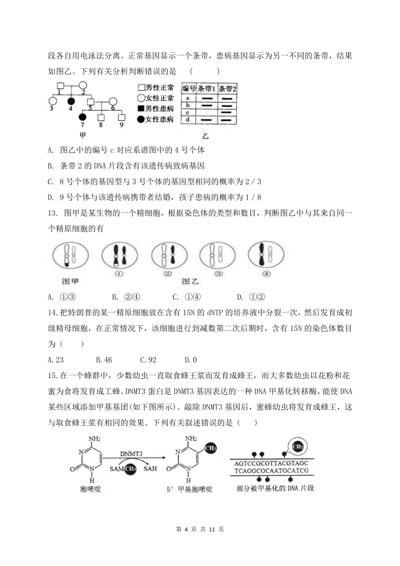 山东省菏泽市单县五中2020-2021学年高二上学期开学考试生物试题