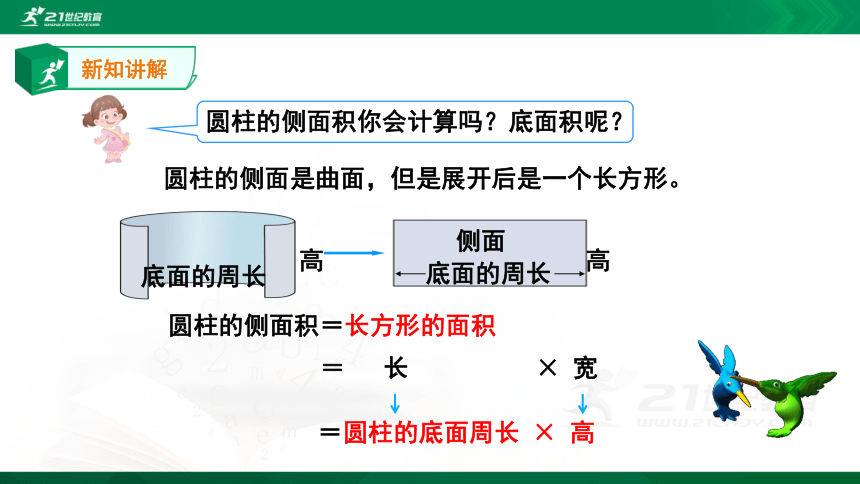 3.1.3圆柱——圆柱的表面积 同步课件