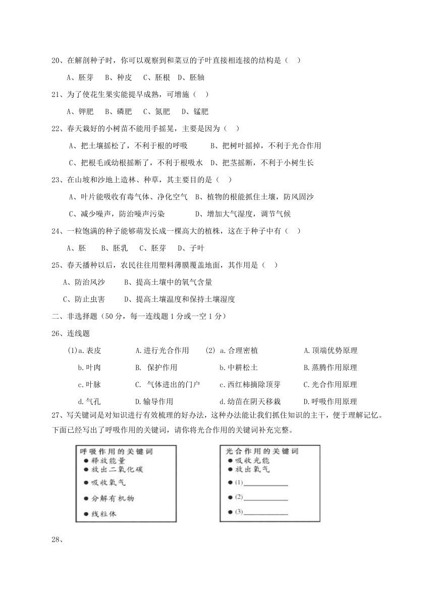 福建省莆田市秀屿区2017_2018学年八年级生物上学期期中试题新人教版