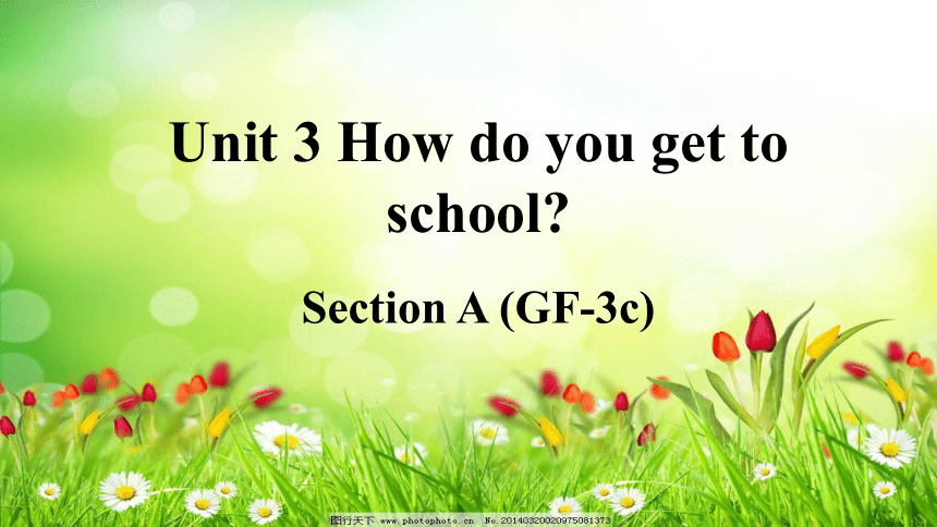 人教新目标版英语七年级下Unit 3 How do you get to school?Section A Grammar Focus-3c课件（36张PPT无素材）