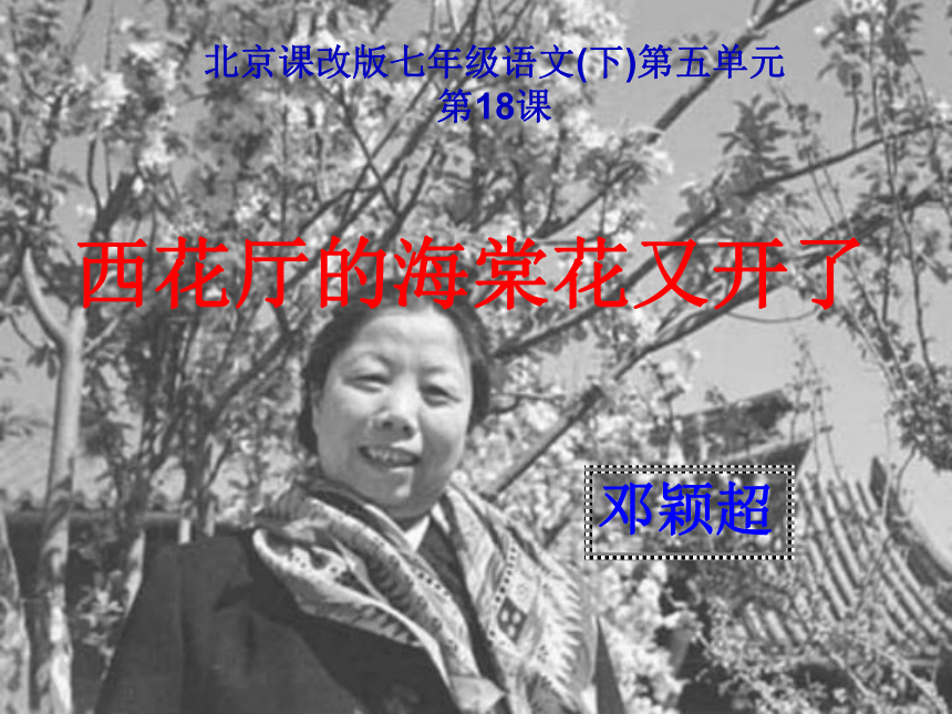 2015-2016学年度北京课改版八年级语文（下）第五单元第18课《西花厅的海棠花又开了 》（49张PPT）