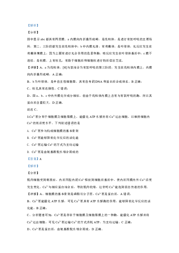 北京市大兴区2020届高三上学期期末考试生物试题（答案带解析）