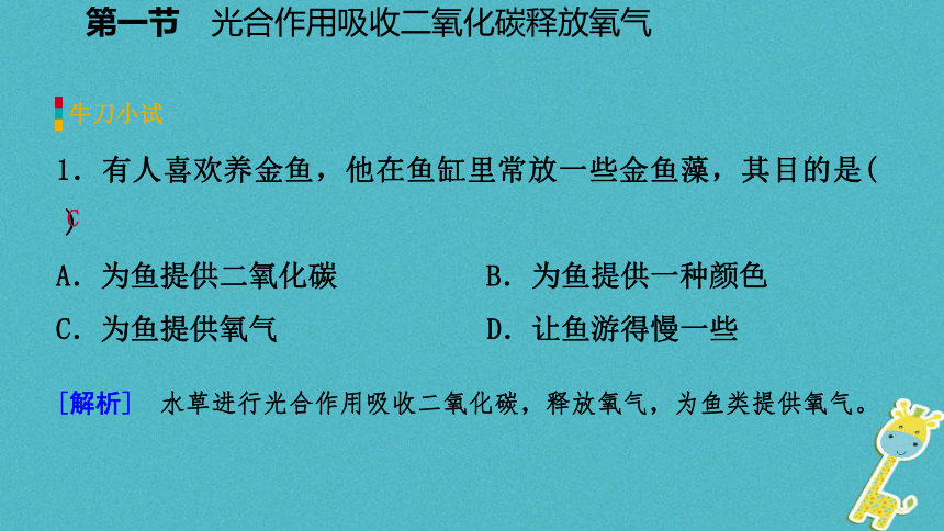 3.5.1光合作用吸收二氧化碳释放氧气课件（16张PPT）