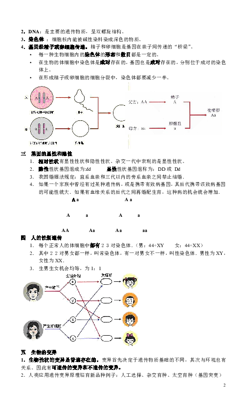 八年级下册生物复习提纲