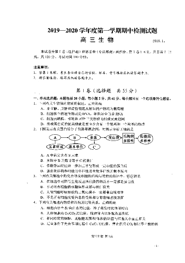 江苏省扬州市2020届高三上学期期中调研生物试题 扫描版