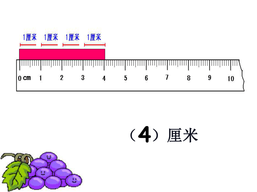 51用厘米作单位量长度课件数学二年级上册西师大版共23张ppt