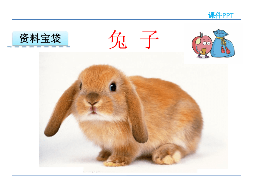 小学语文北师版二年级下册同步课件：10.2  狮子和兔子