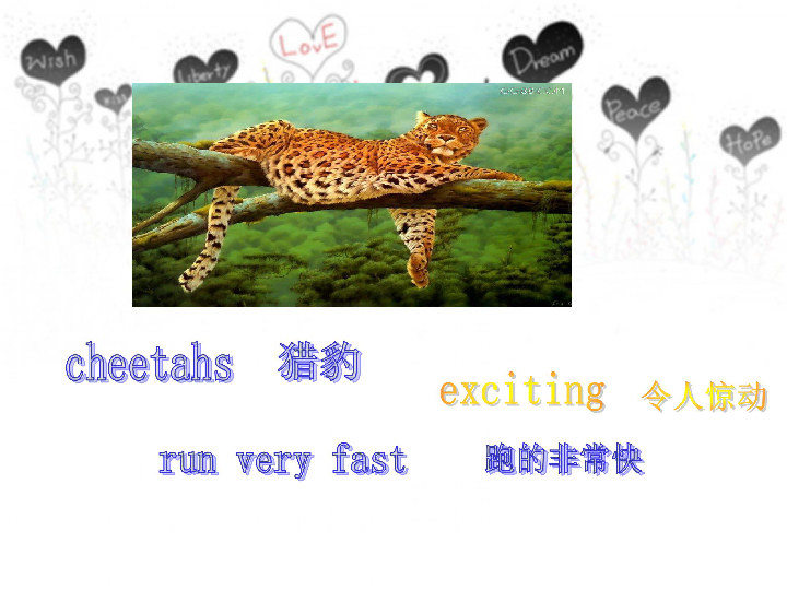 Unit 5 Active animals.课件（共12张PPT）