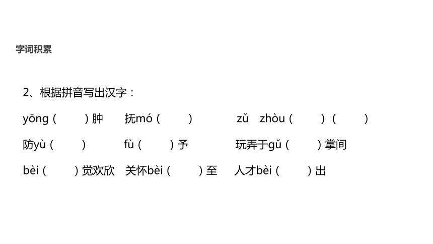 【教学课件】《蜘蛛》课件（北师大）