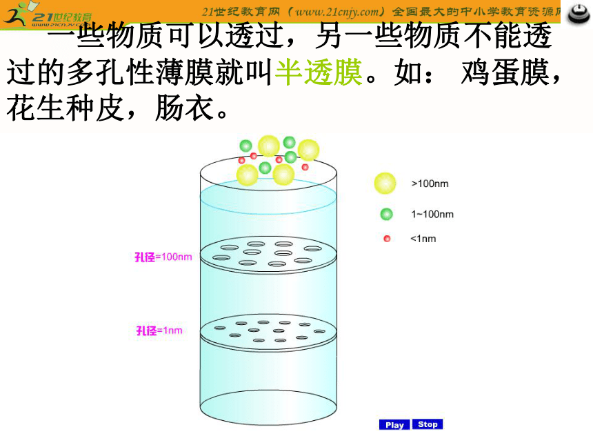 生物课件：《水分的吸收和利用》