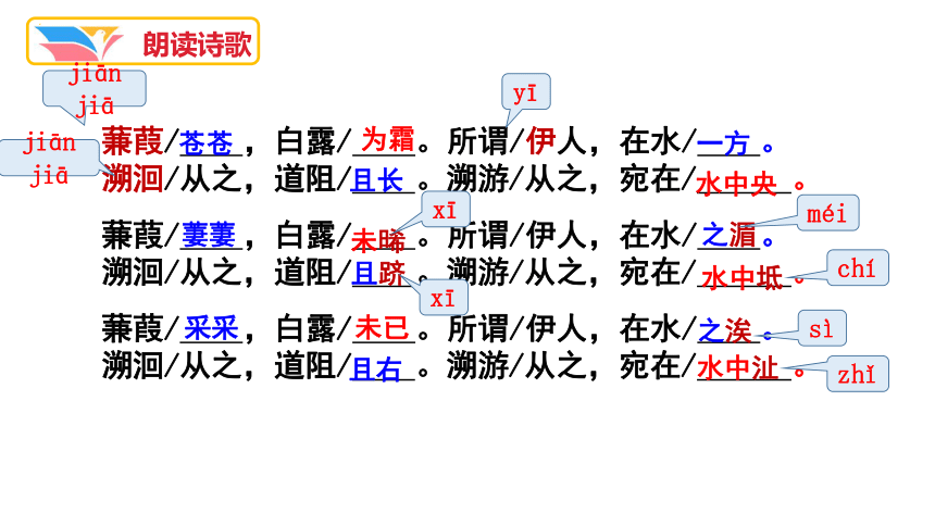 第12課《詩經二首——蒹葭》課件(共29張ppt)