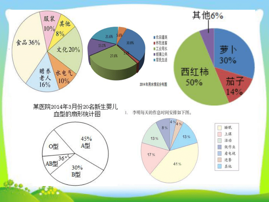 电视上的扇形统计图图片