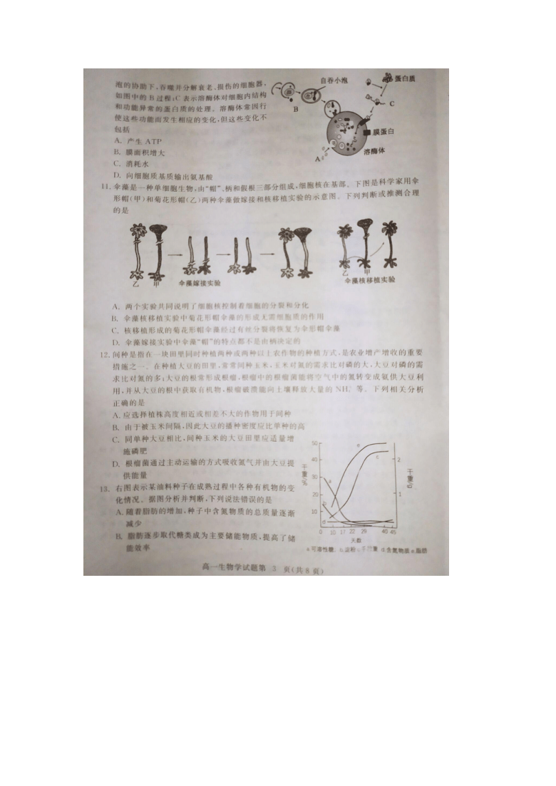 湖北省黄冈市2020-2021学年高一上学期期末调研考试生物试题 图片版含答案