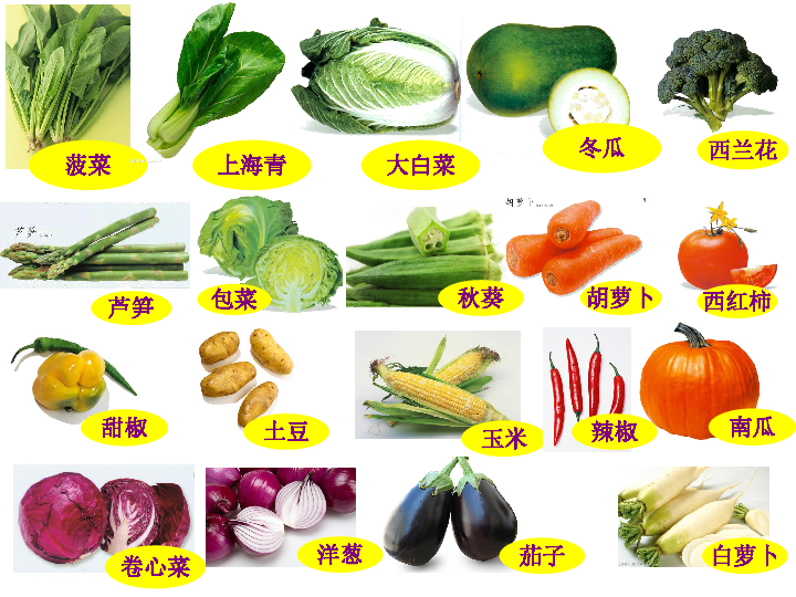 100种蔬菜大全名称图片图片