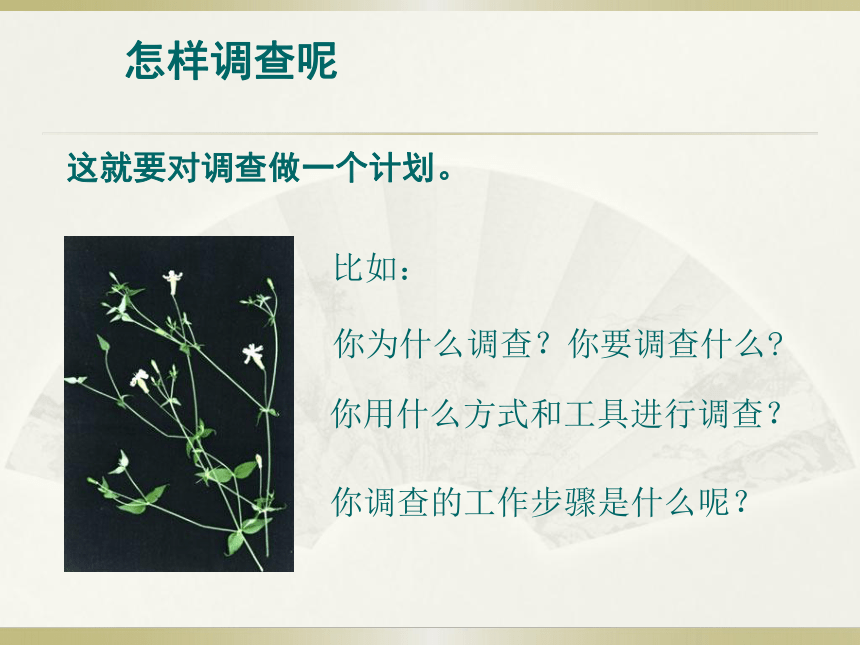 第一单元 第一章 第二节 调查周边环境中的生物 23张PPT