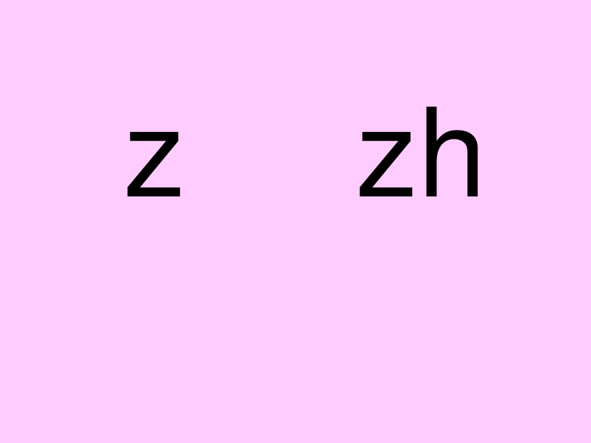 《zh ch sh r》课件