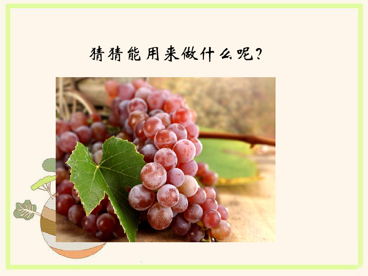 三年级上册科学课件-《来自果实和种子的食品》课件1北京版(共20张PPT)