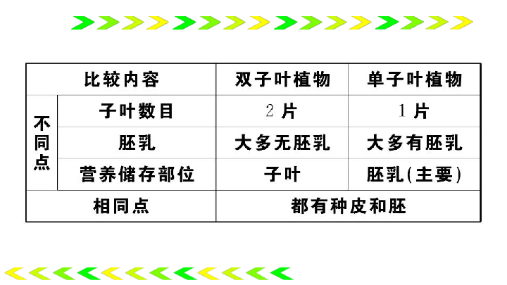 2019七年级生物上册习题课件：第3单元第三单元  整理与复习（43张ppt）