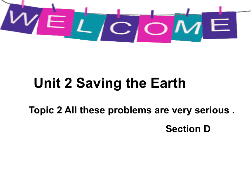 Unit2 Topic2 All these problems are very serious.SectionD课件（22张，无素材）