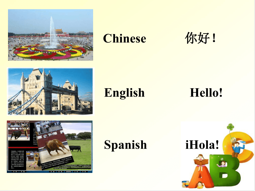 Module 2 What can you do ? Unit 3 Language in use教学课件