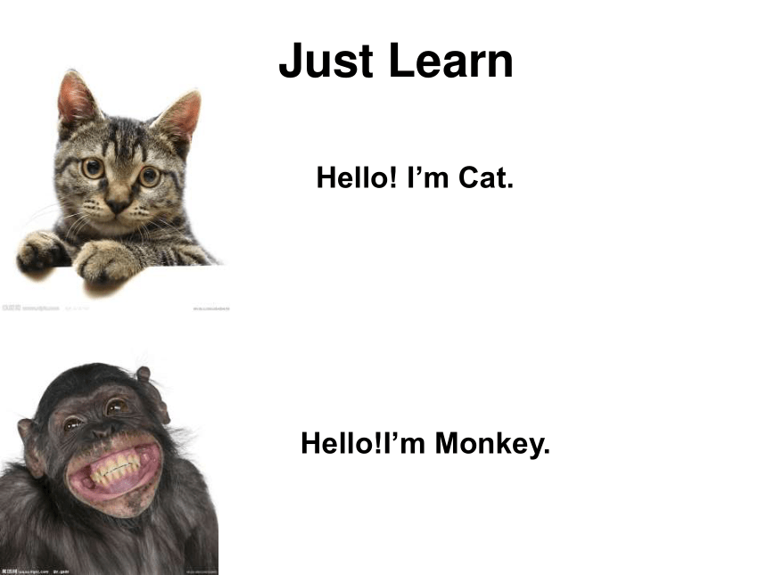 Unit 1 Hello! I'm Monkey Lesson 1 课件