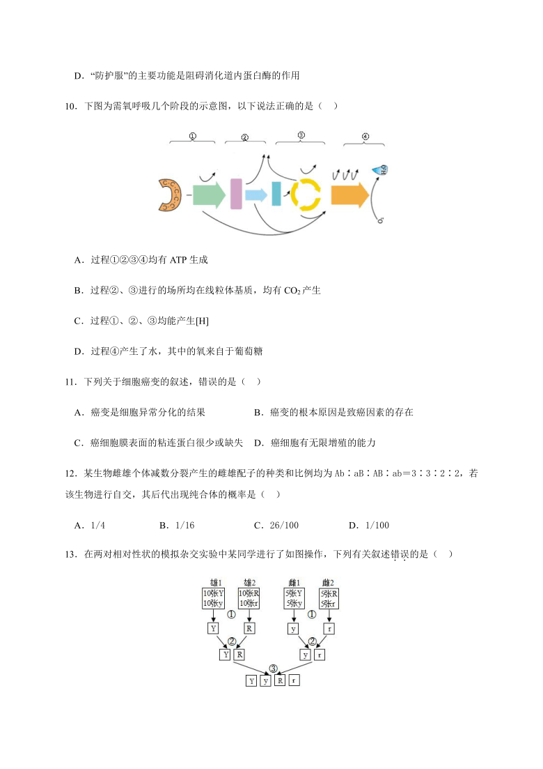 浙江省宁诺附中2020-2021学年高二10月月考生物试题