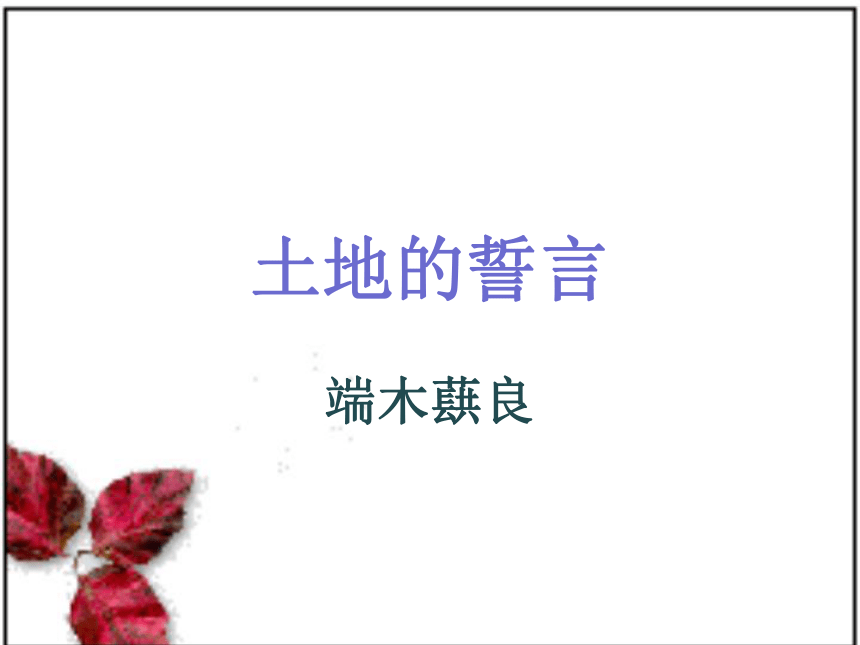课件预览