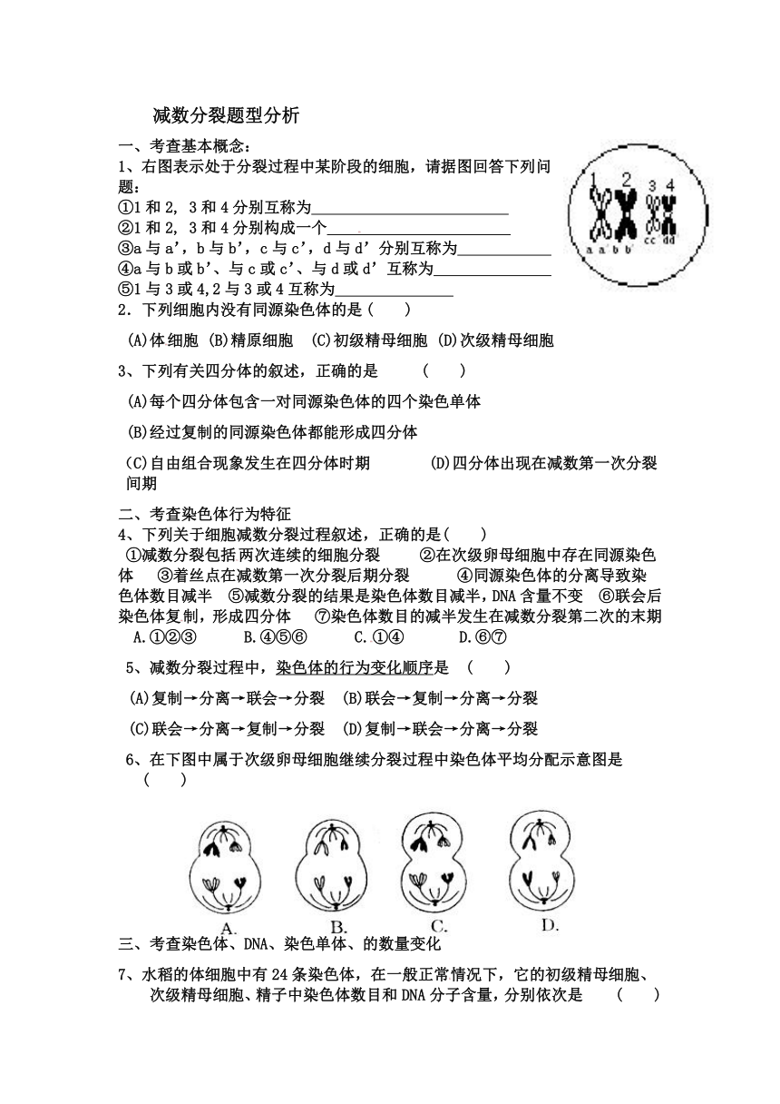 （2013秋开学）高中生物人教版必修二同步测试题：21 减数分裂（基础，含答案）