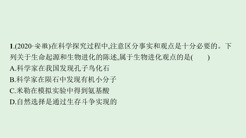 2021年安徽中考生物一轮复习  考点过关解析训练  第二十三讲 生命起源和生物进化课件（50张PPT）