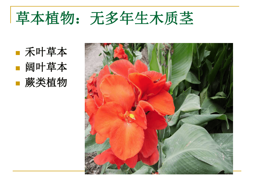 浙教版必修三第五章第二节植物的生长型和群落结构