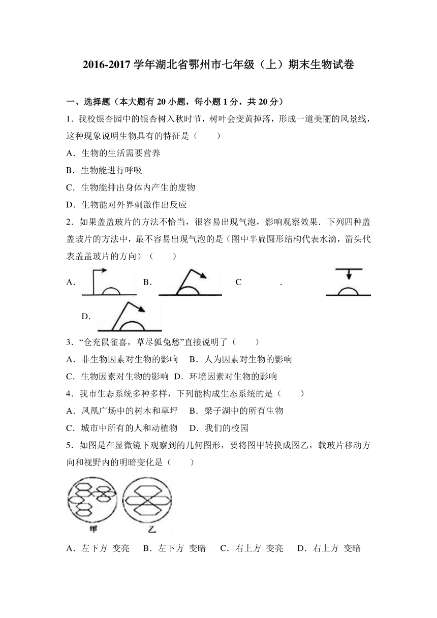 湖北省鄂州市2016-2017学年七年级（上）期末生物试卷（解析版）