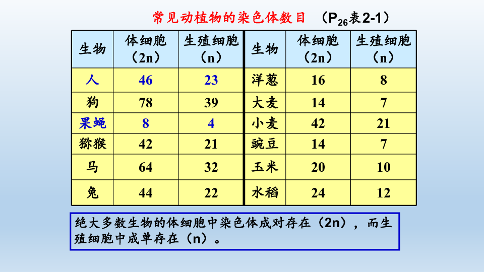 浙科版2019生物必修221染色体通过配子传递给子代课件共71张ppt