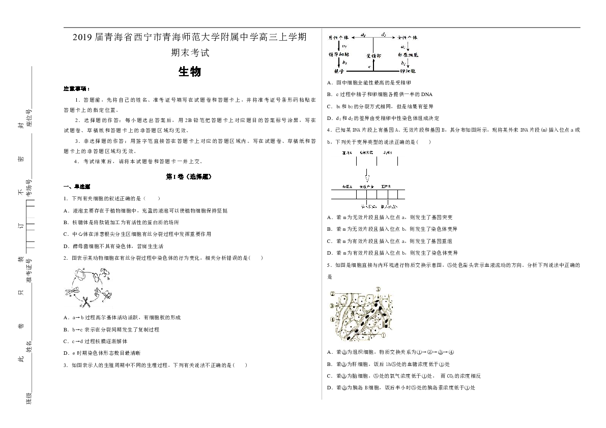 青海省西宁市青师大附中2019届高三年级上学期期末考试生物试卷 Word版含解析