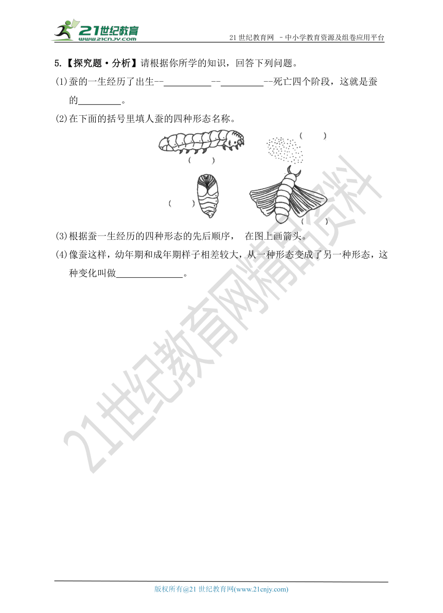 第2单元 第4课  养蚕经验交流会（练习）