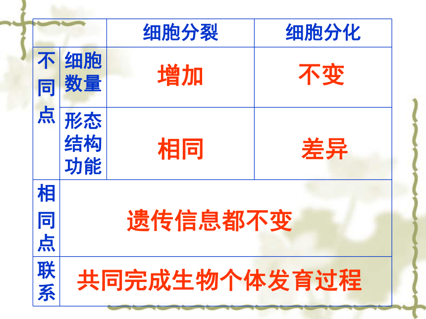 沪科版生物第二册第四节《 细胞分化和植物细胞的全能性》课件2