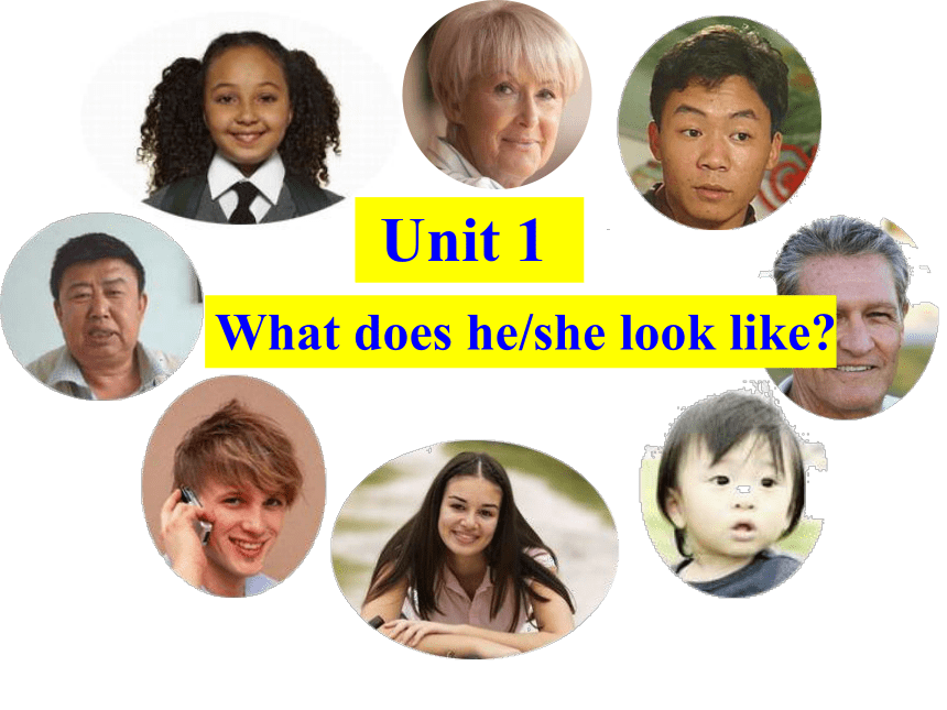Unit 1  What does he look like ？单元复习课件