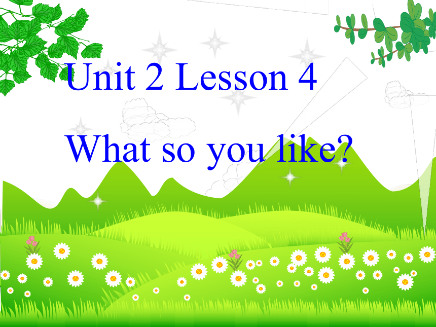 Lesson 4 What do you like? 课件+素材