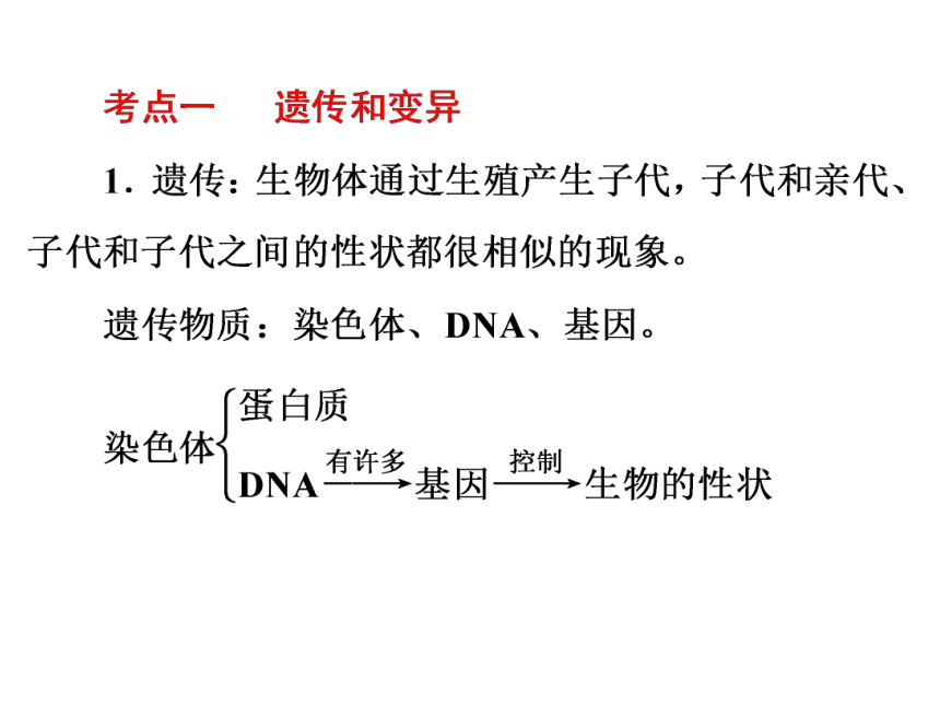 2017浙江中考复习：第一部分 生命科学专题9　遗传和进化