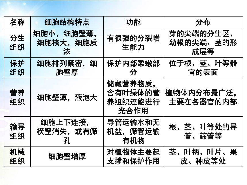 2.2.3植物体的结构层次 课件（25张PPT）