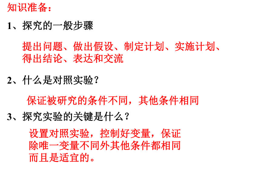 种子的萌发 课件(共31张PPT)