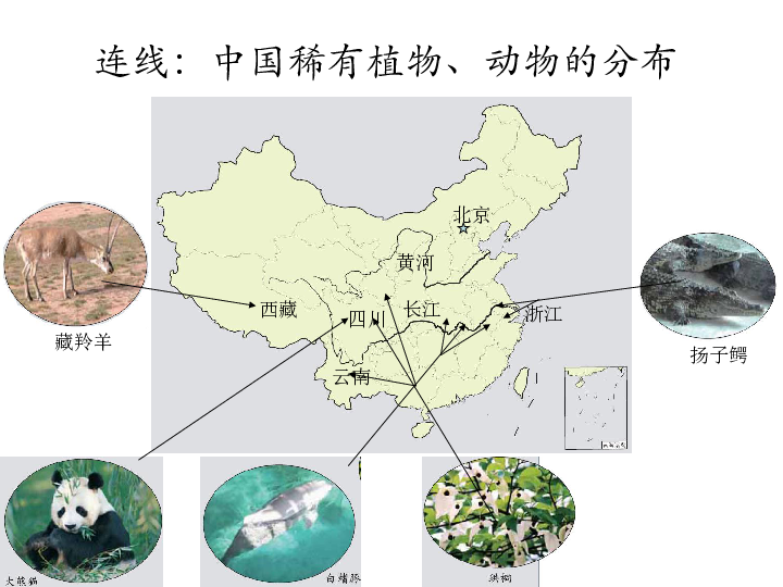 教科版科学六年级上册《校园生物分布图》课件27张PPT