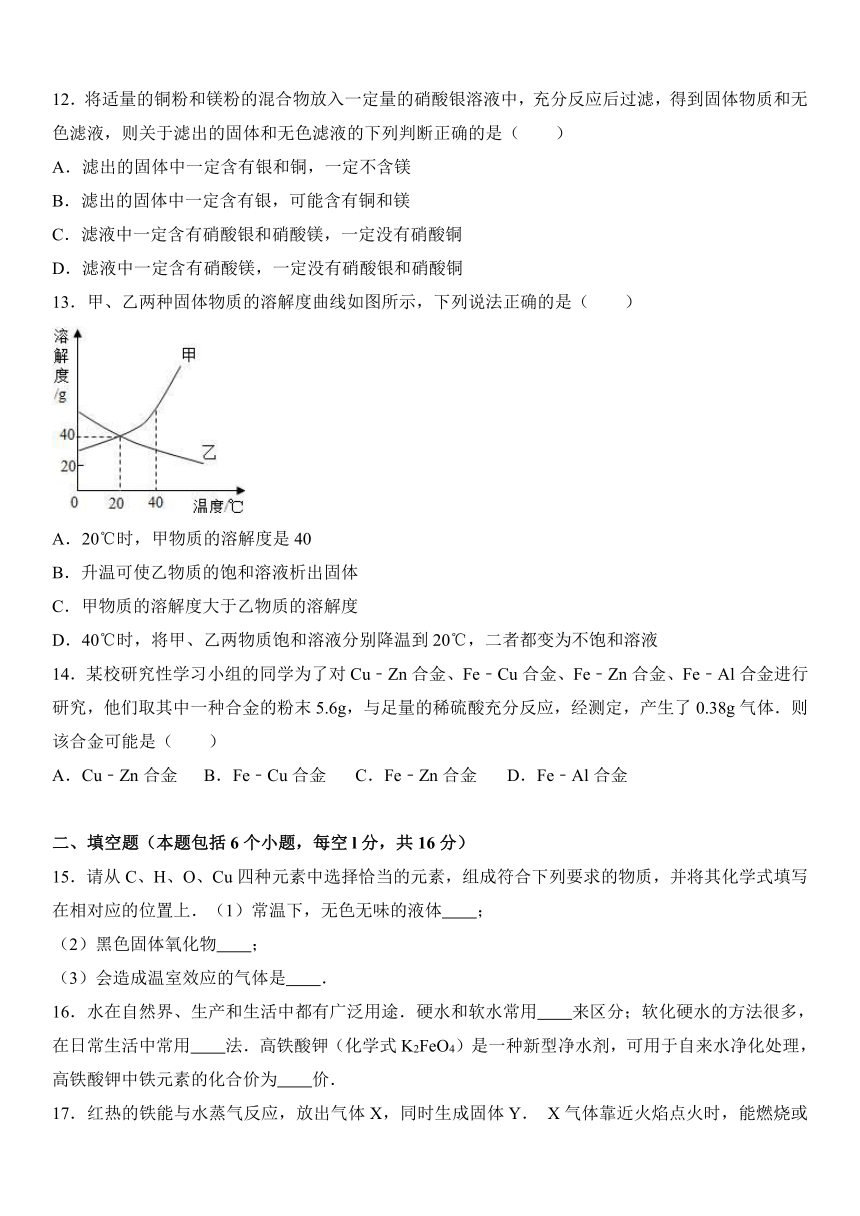 河南省商丘市夏邑县2016-2017学年九年级（上）期末化学试卷（解析版）