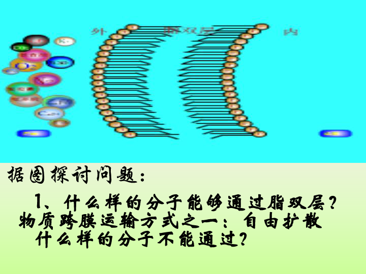 第四章细胞的物质输入和输出第三节物质跨膜运输的方式