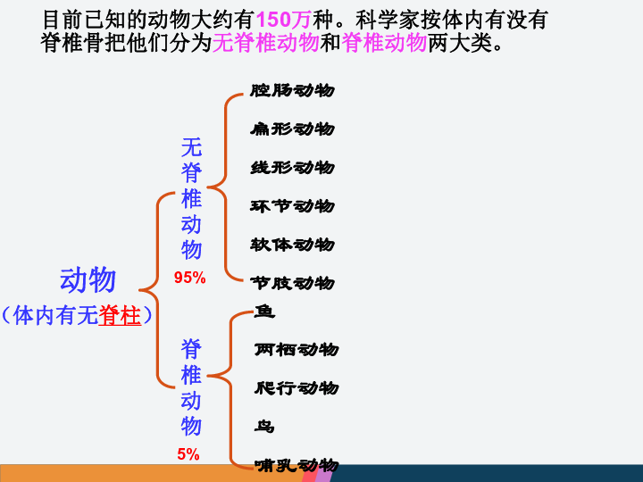 初二生物鱼的思维导图图片