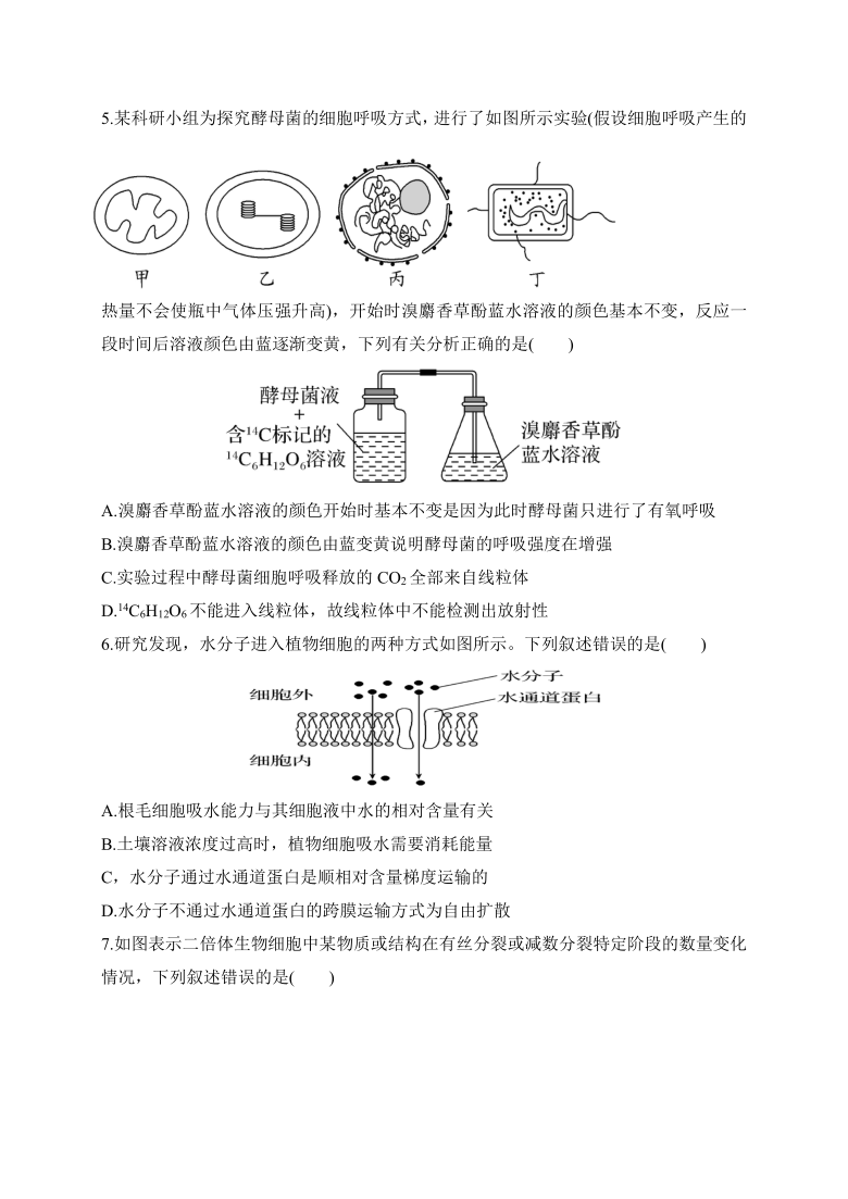 内蒙古集宁高中2021届高三上学期期中考试生物试题  含答案