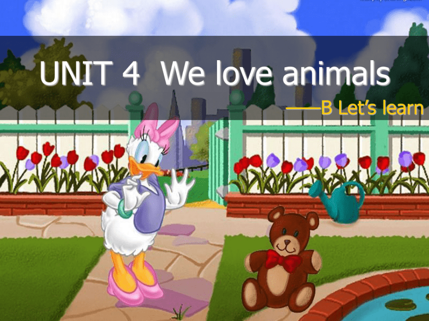 Unit 4 We Love Animals Part B Let’s learn