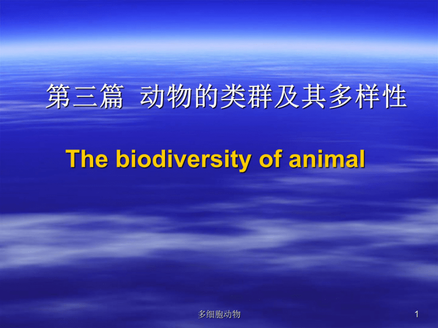 原生动物和多细胞动物的起源