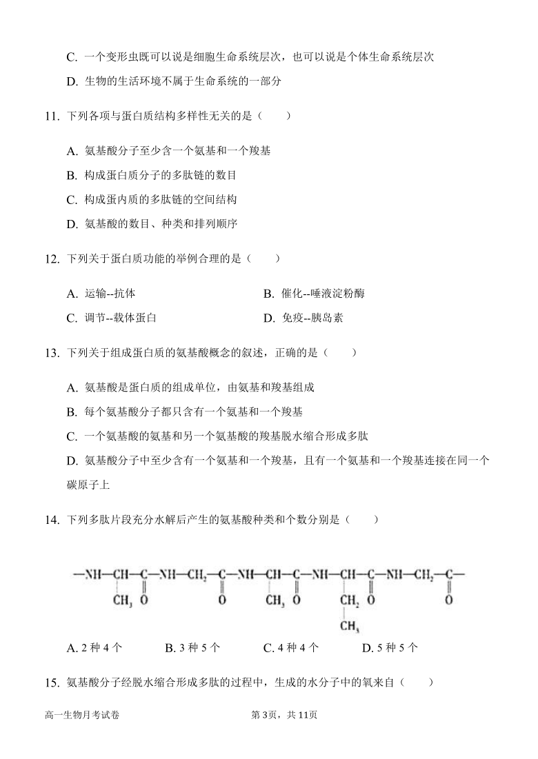 河南省南阳市四中2020-2021学年高一上学期12月月考生物试题     含答案