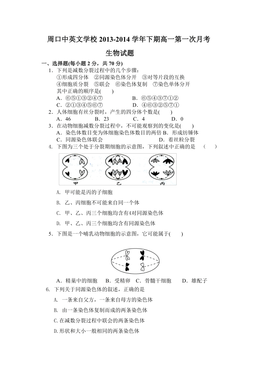 河南省周口市中英文学校2013-2014学年高一下学期第一次月考生物试题