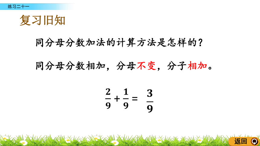 人教新课标三年级上册数学 8.2.3练习二十一分数的初步认识课件(共16张PPT)